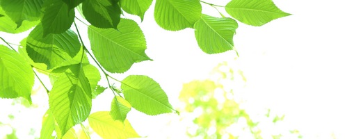 似顔絵グラフィックス販売サイトへ